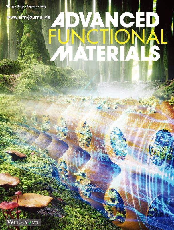 Biomimetic and Biophilic Design of Multifunctional Symbiotic Lichen-Schwarz Metamaterial